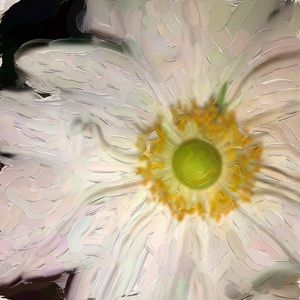 Meet your Posher, Sharey